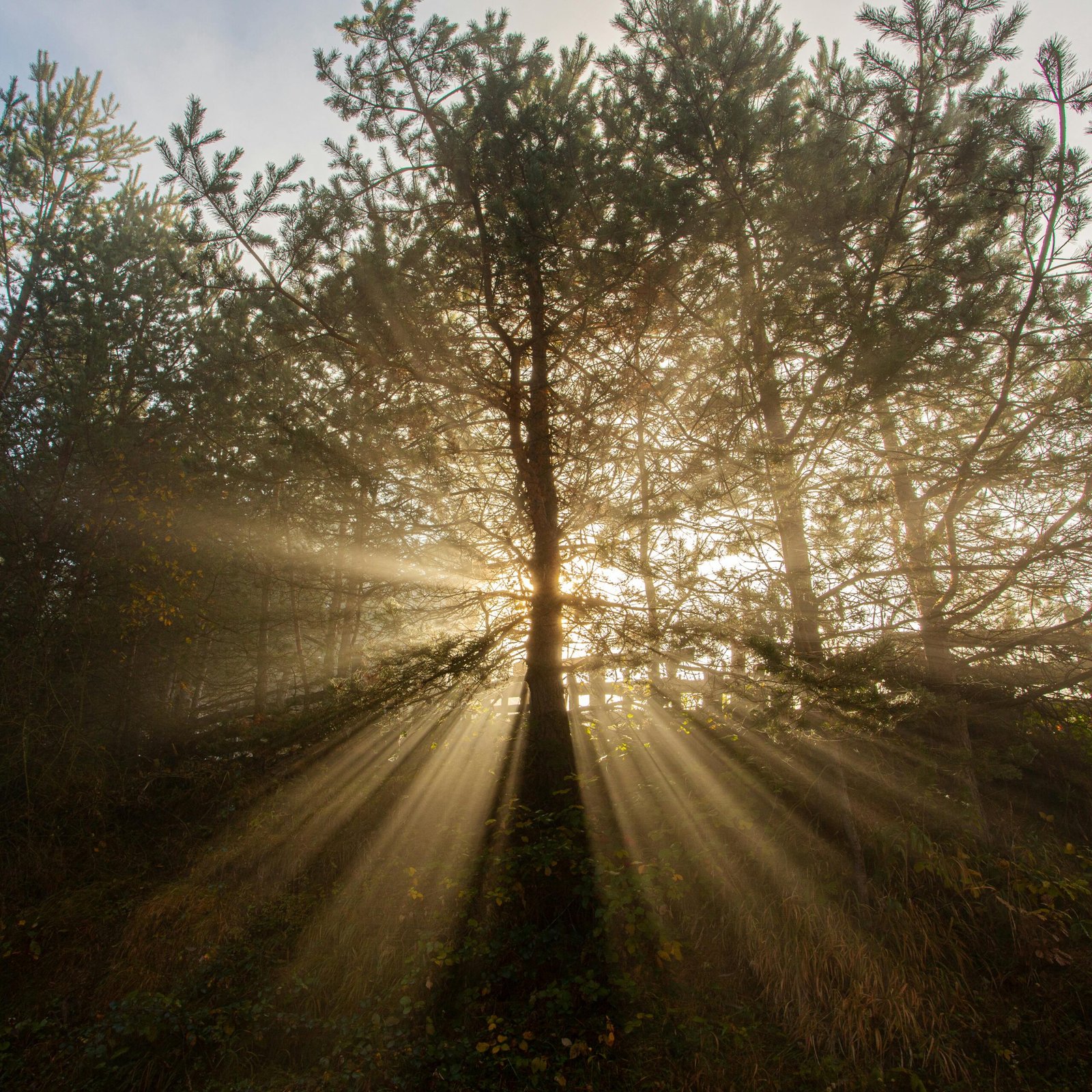 Natural Skincare Essentials with Dr Davin Lim