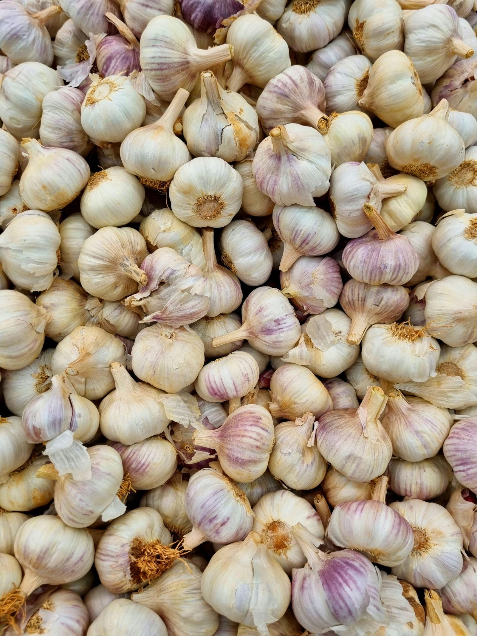 Understanding Allium Sativum (Garlic) Bulb Extract Benefits in Skincare