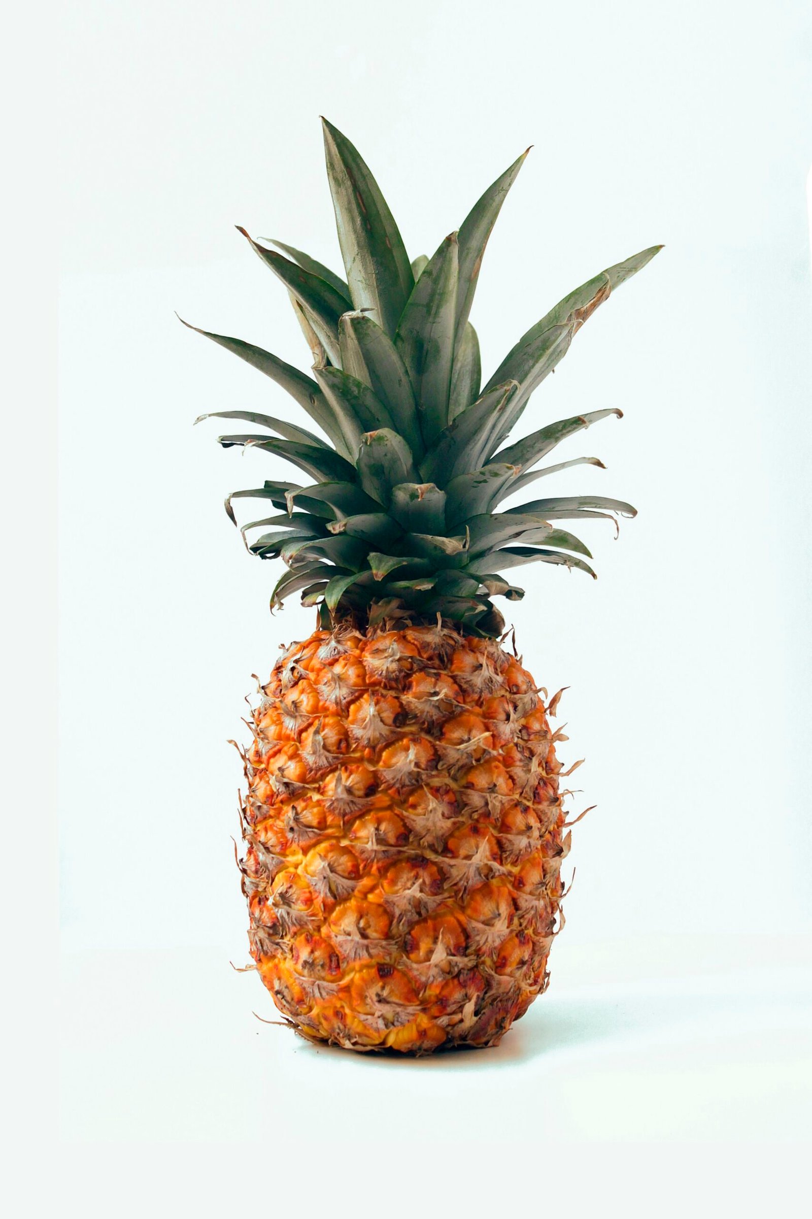 Wait, Pineapple Juice on Your Face? 🍍 Here’s Why Ananas Sativus is the Skincare Hero You Didn’t Know You Needed.